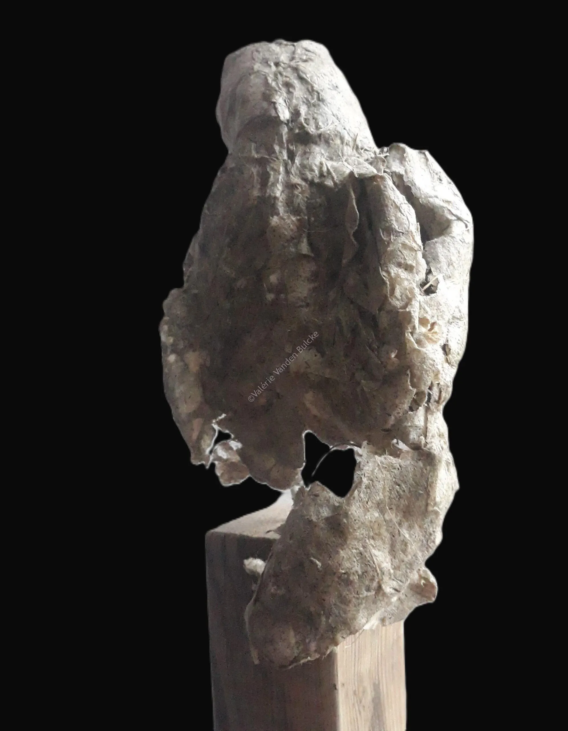 Corvus Corax I · papier végétal, 75 × 15 × 16 cm