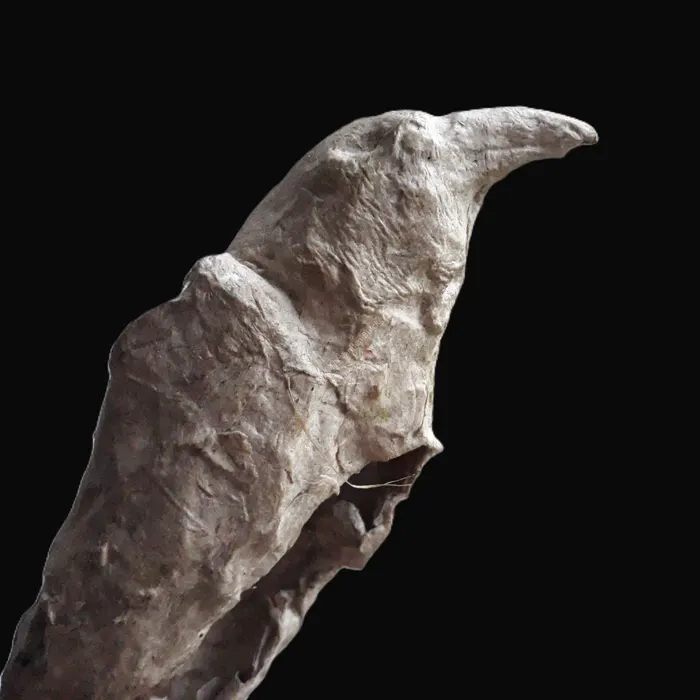 Corvus Corax III · papier végétal · 75 × 15 × 16 cm