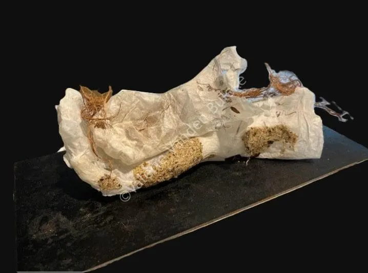 Mue, la maternité · papier de soie, papier d'hortensia, racines · 35 × 13 × 11 cm