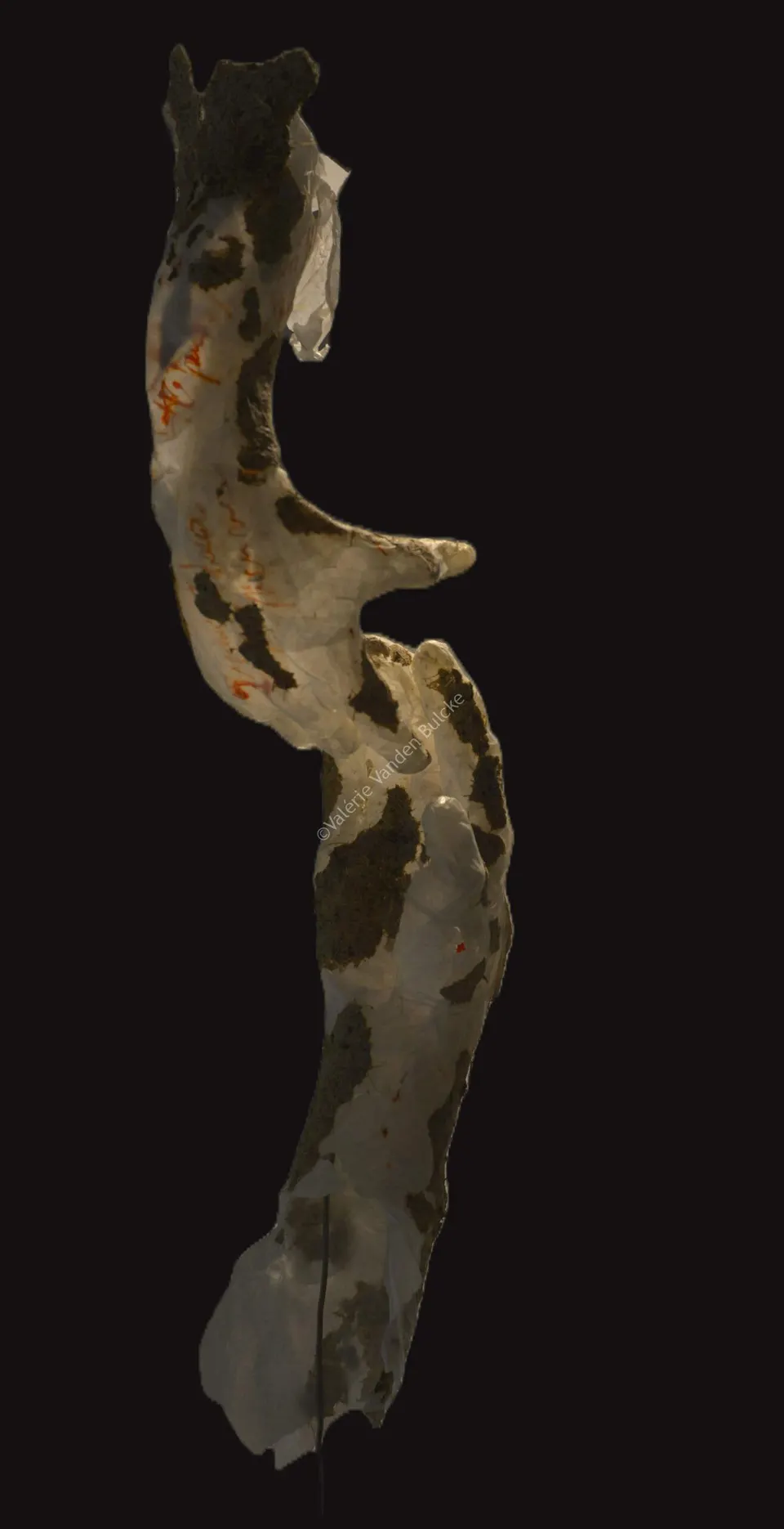 Mue, « J'ignore pourquoi je me lâche la main quand tu prends la mienne » · suspendue · 75 × 12 × 10 cm